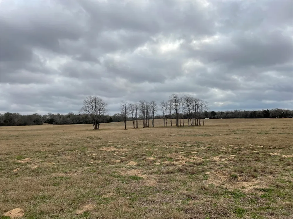 1498 Walleye Creek Lane Lexington, TX 78947