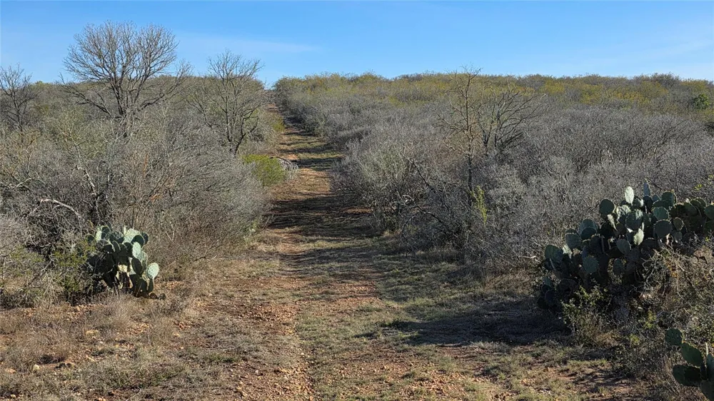 County Road 6753 Devine, TX 78016