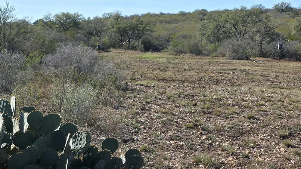 County Road 6753 Devine, TX 78016