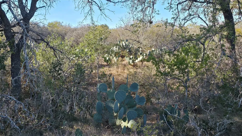 County Road 6753 Devine, TX 78016