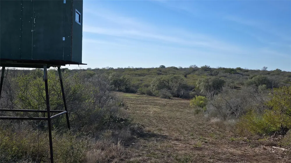 County Road 6753 Devine, TX 78016