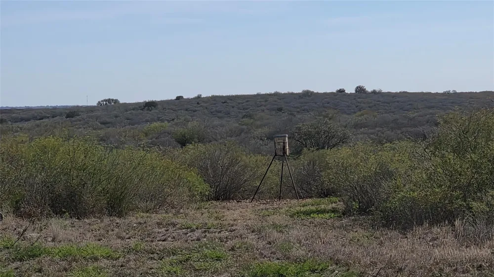 County Road 6753 Devine, TX 78016