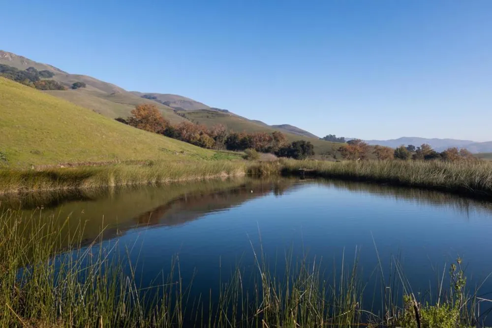 2000 Scott Creek Road Milpitas, CA 95035