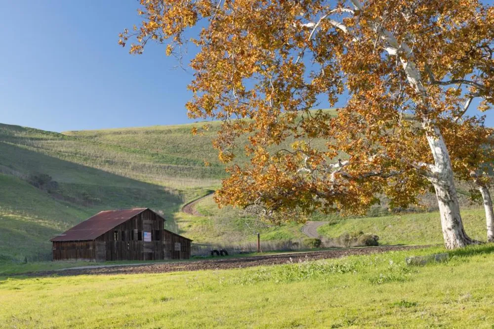 2000 Scott Creek Road Milpitas, CA 95035