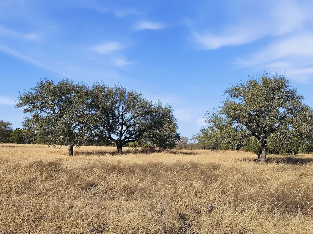 519 County Road 530a Evant, TX 76525