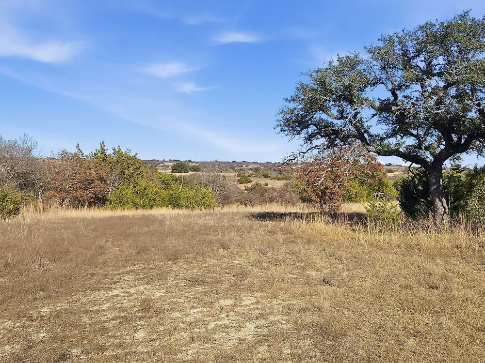 519 County Road 530a Evant, TX 76525