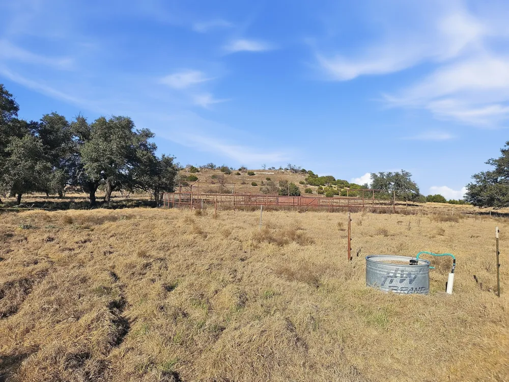 519 County Road 530a Evant, TX 76525