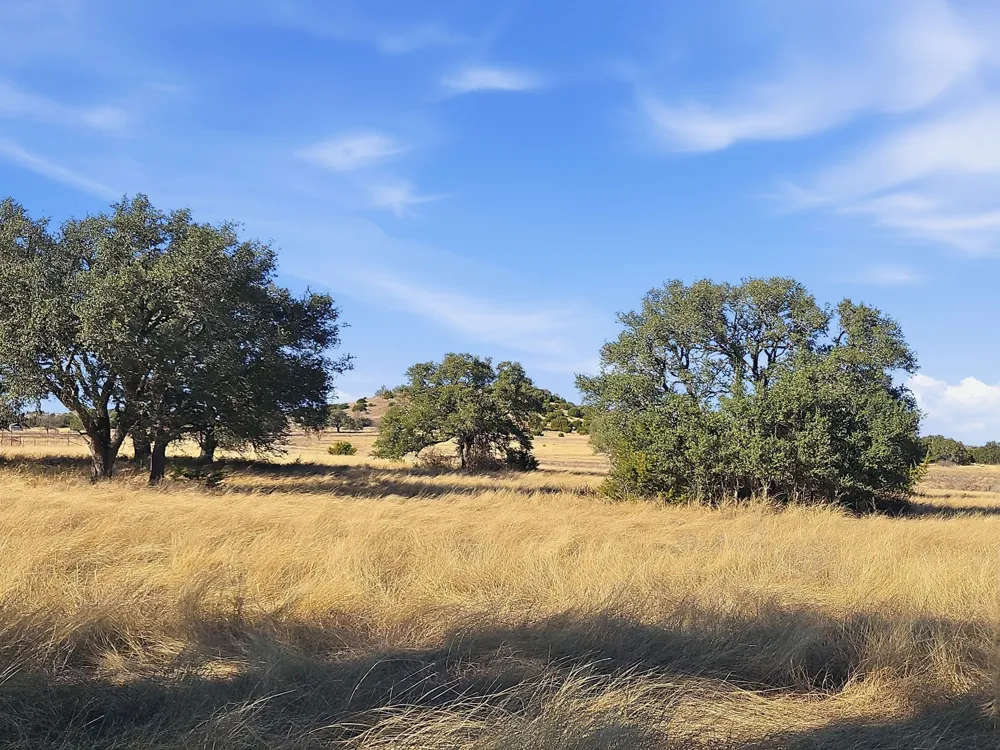519 County Road 530a Evant, TX 76525