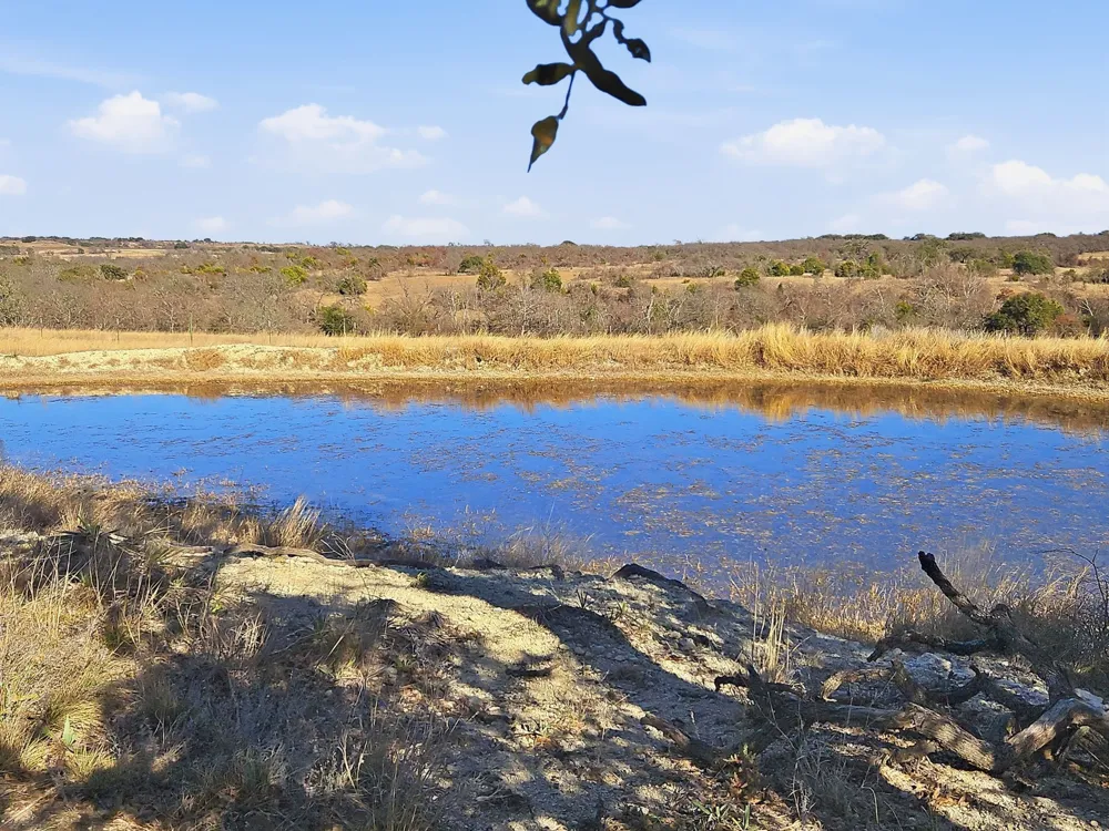 519 County Road 530a Evant, TX 76525