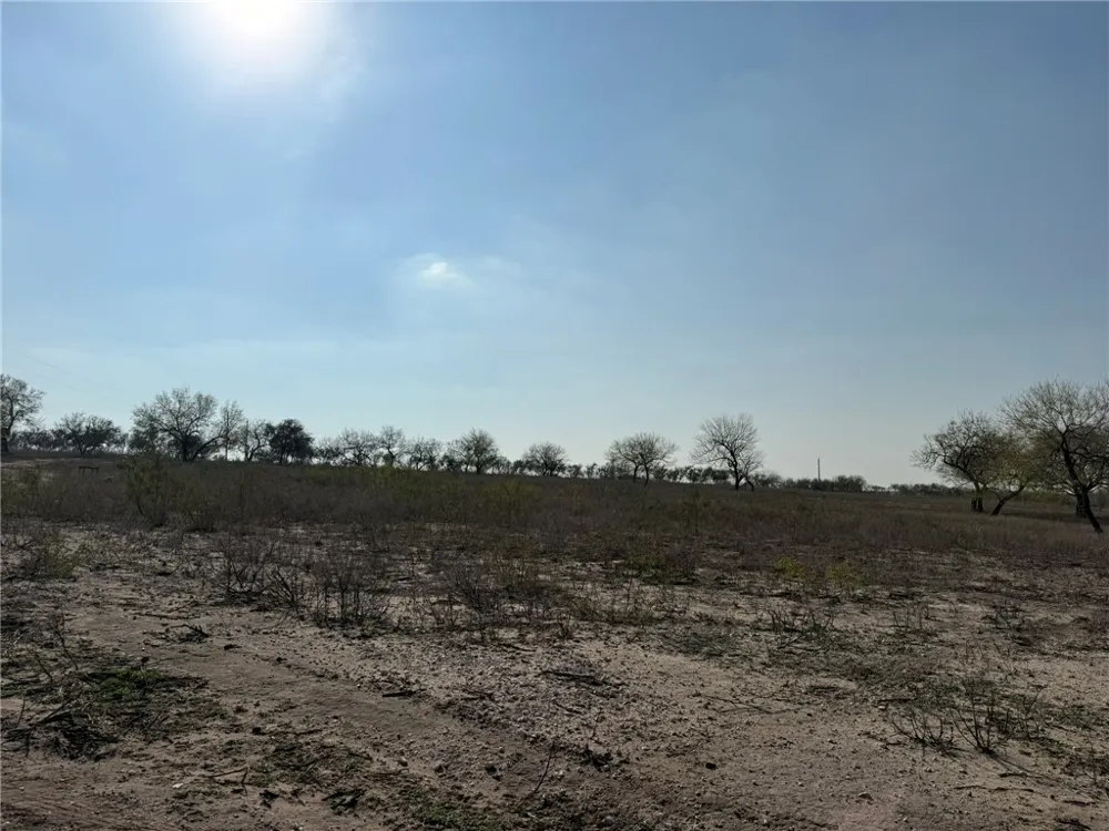 1331 Highway 281 S George West, TX 78022