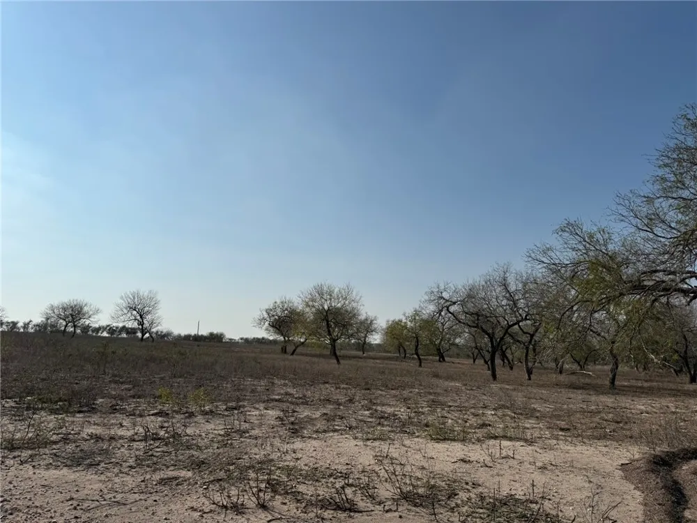 1331 Highway 281 S George West, TX 78022