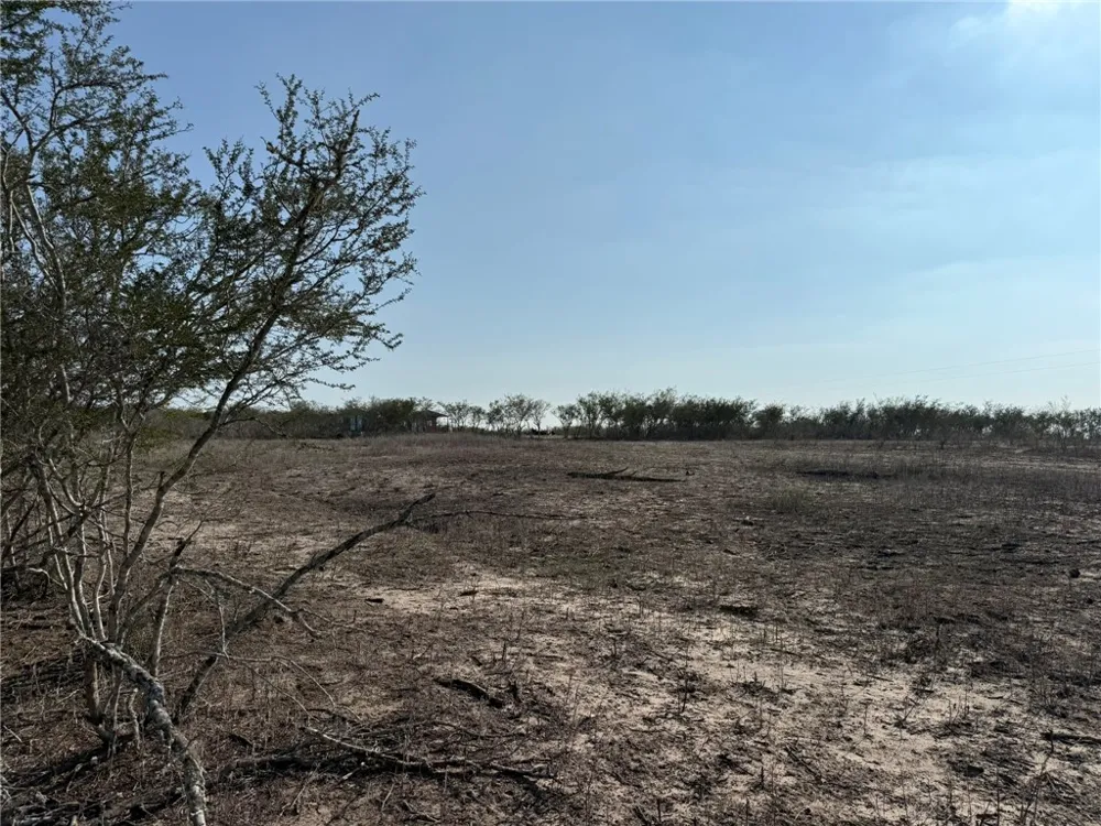 1331 Highway 281 S George West, TX 78022