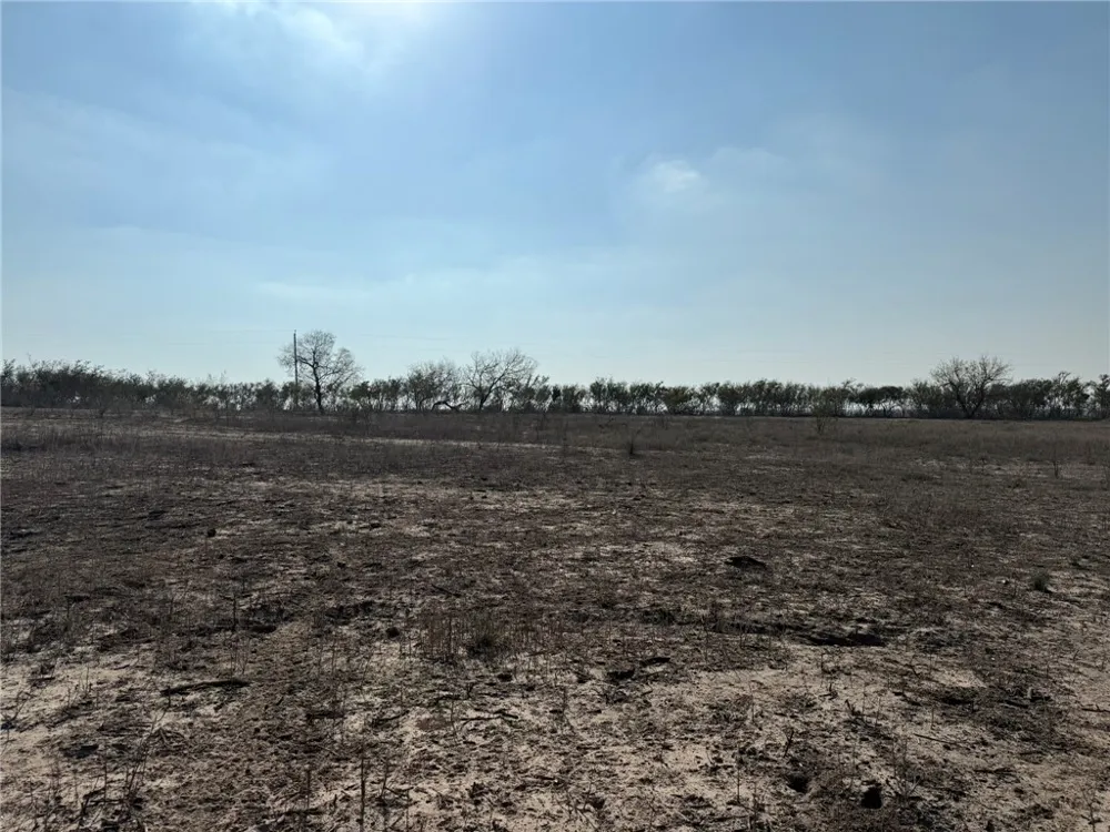 1331 Highway 281 S George West, TX 78022