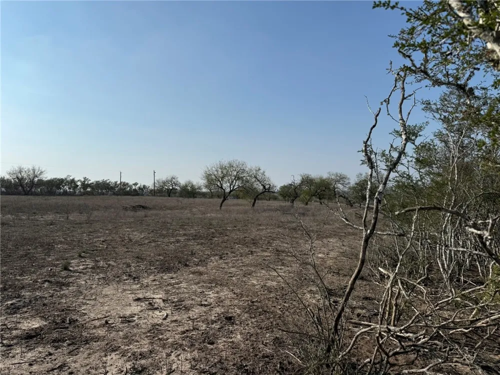 1331 Highway 281 S George West, TX 78022