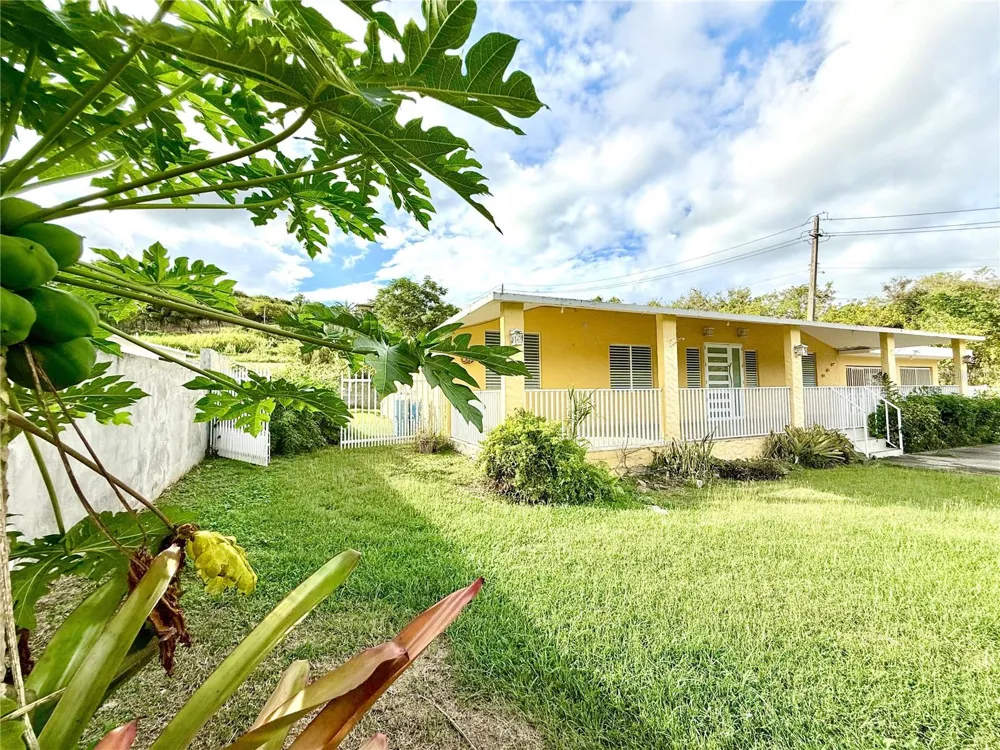 19 C1 #19 Rio Grande, PR 00745