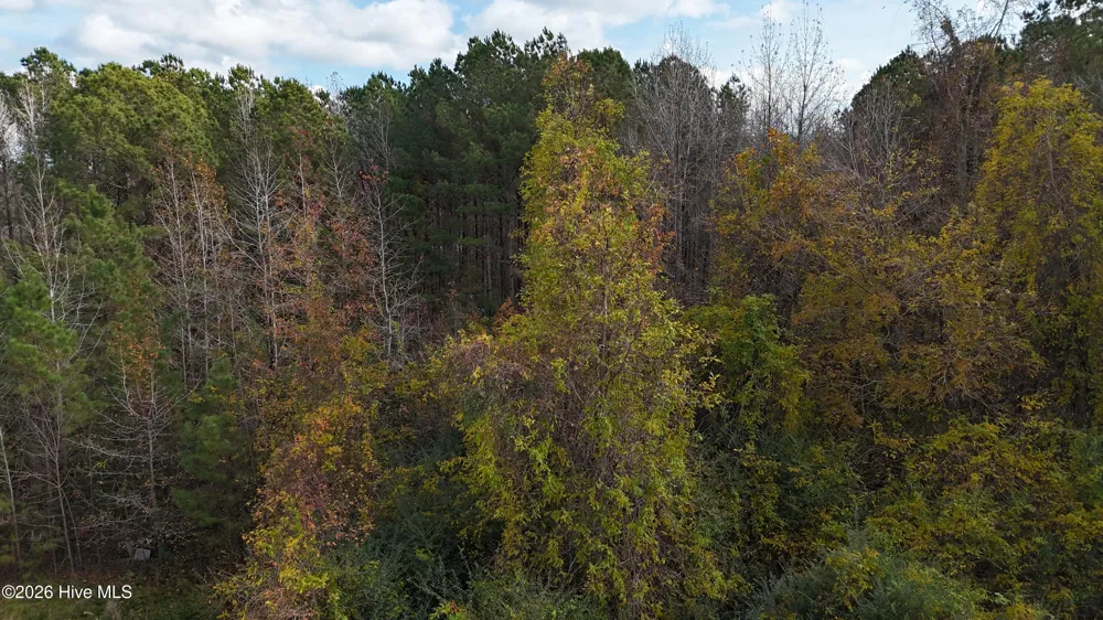 0000 Sr 1100 Blounts Creek, NC 27814