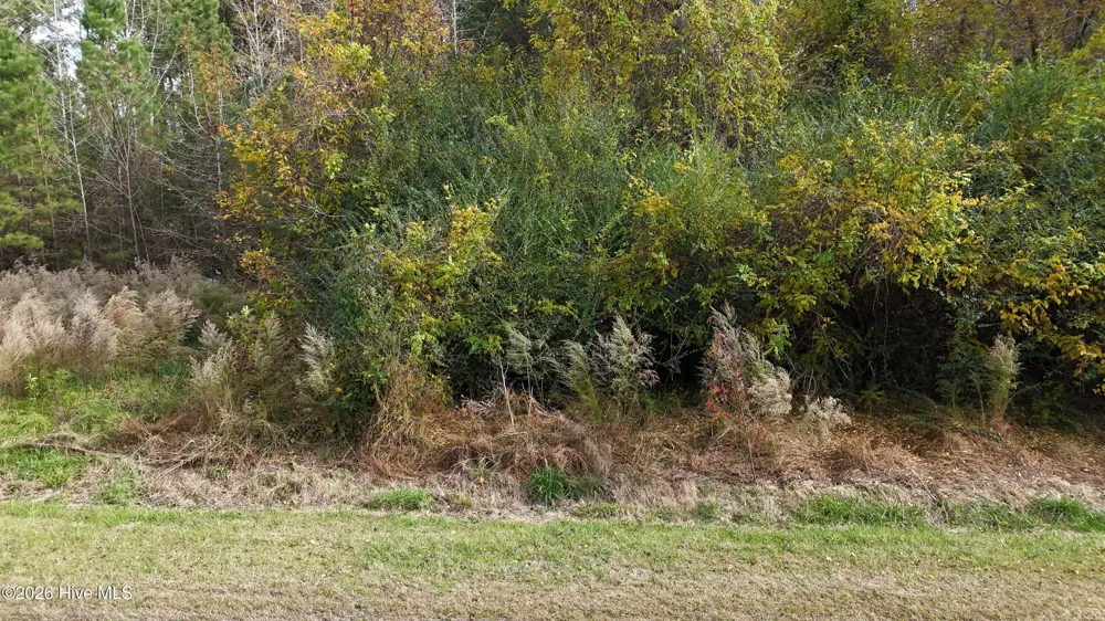 0000 Sr 1100 Blounts Creek, NC 27814