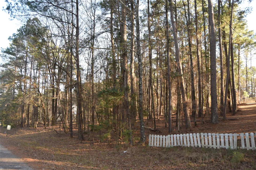 Timberlane Drive Minden, LA 71055