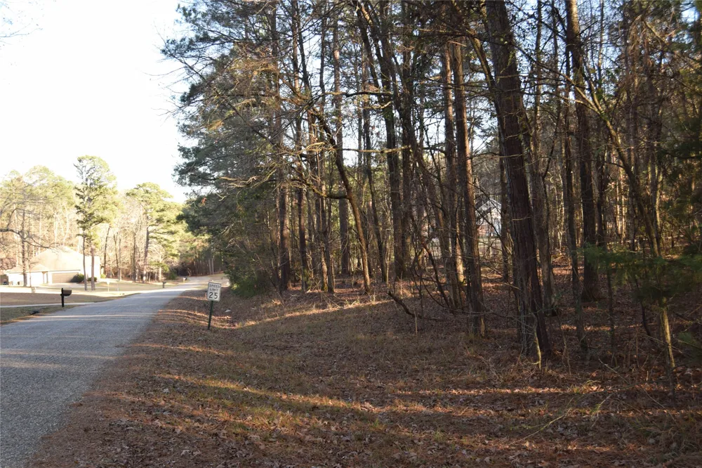Timberlane Drive Minden, LA 71055