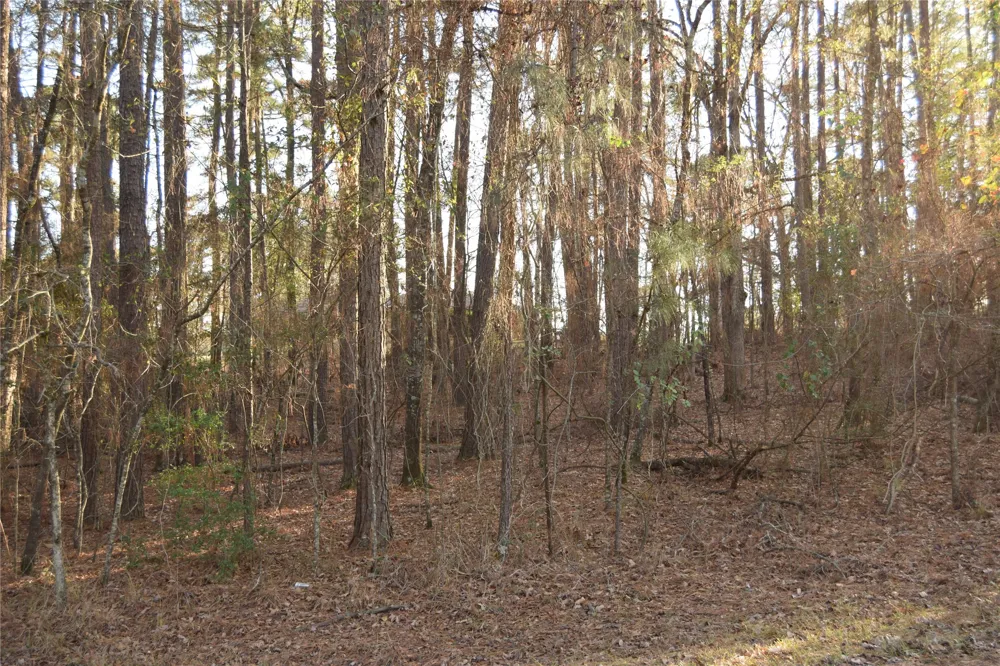 Timberlane Drive Minden, LA 71055