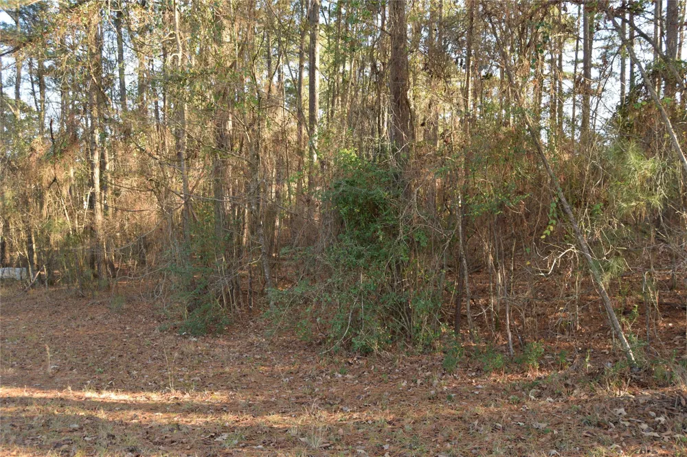 Timberlane Drive Minden, LA 71055
