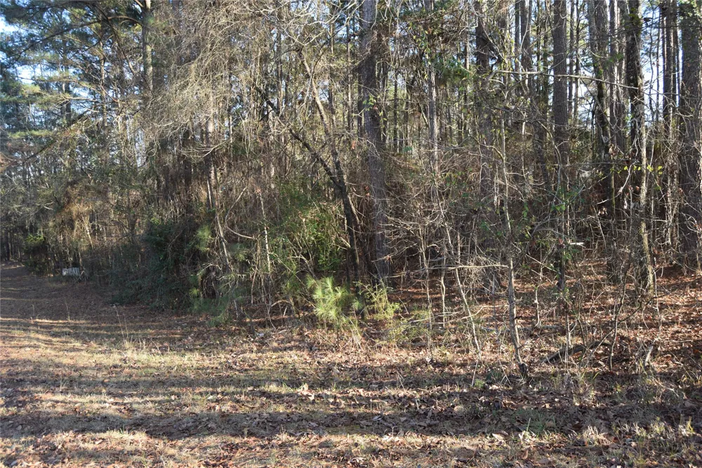 Timberlane Drive Minden, LA 71055