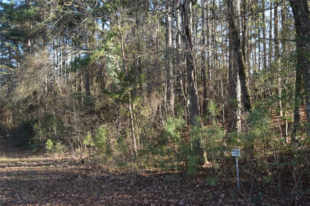 Timberlane Drive Minden, LA 71055