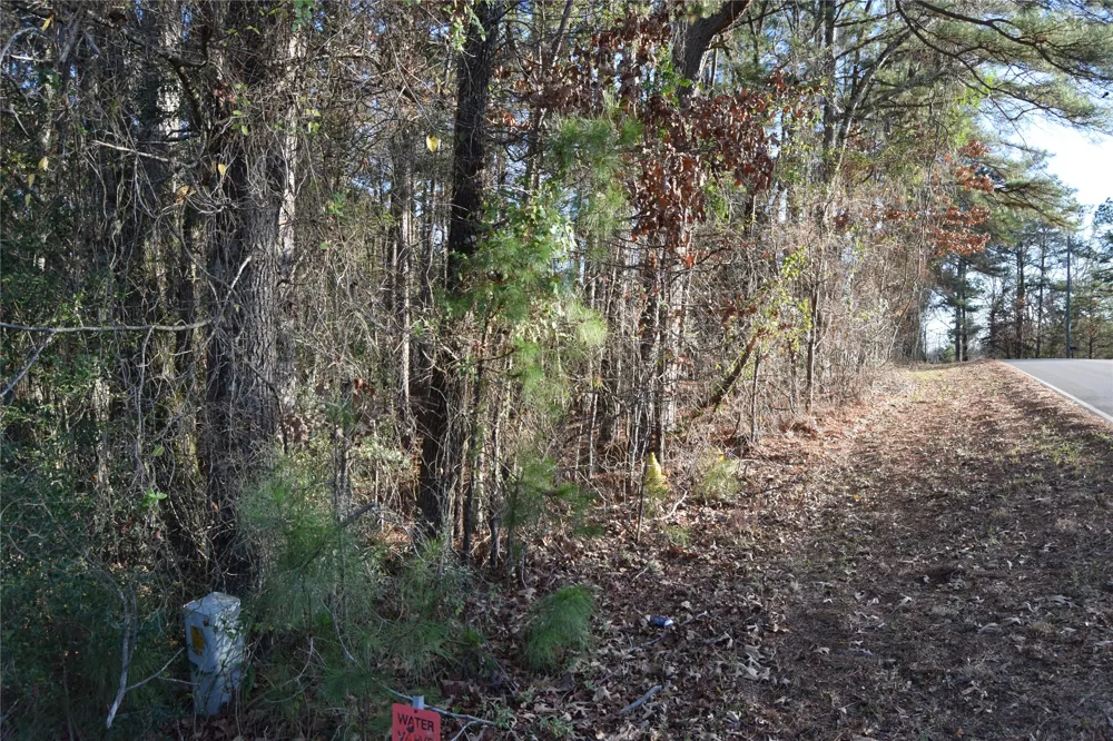 Timberlane Drive Minden, LA 71055