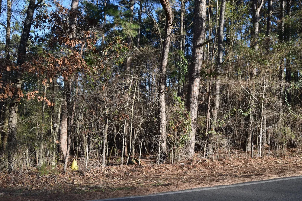 Timberlane Drive Minden, LA 71055