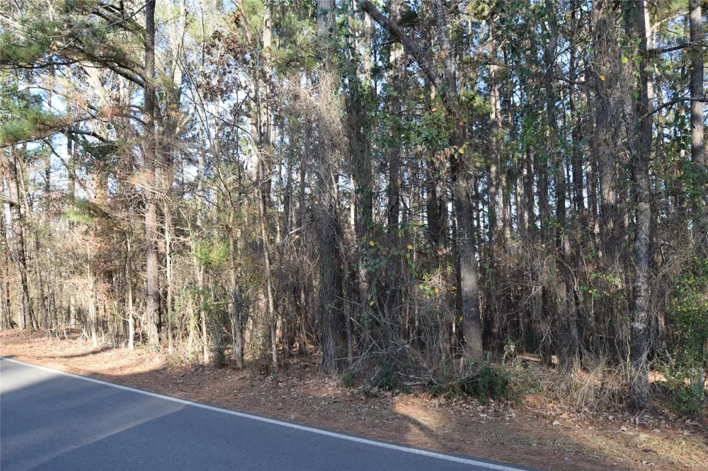 Timberlane Drive Minden, LA 71055