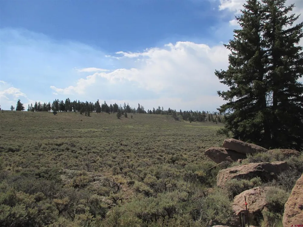 177 Blue Mesa Drive Powderhorn, CO 81224