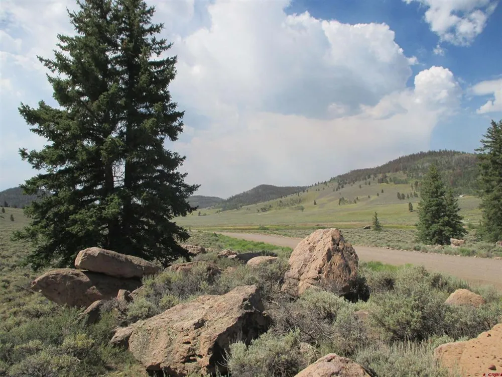 177 Blue Mesa Drive Powderhorn, CO 81224