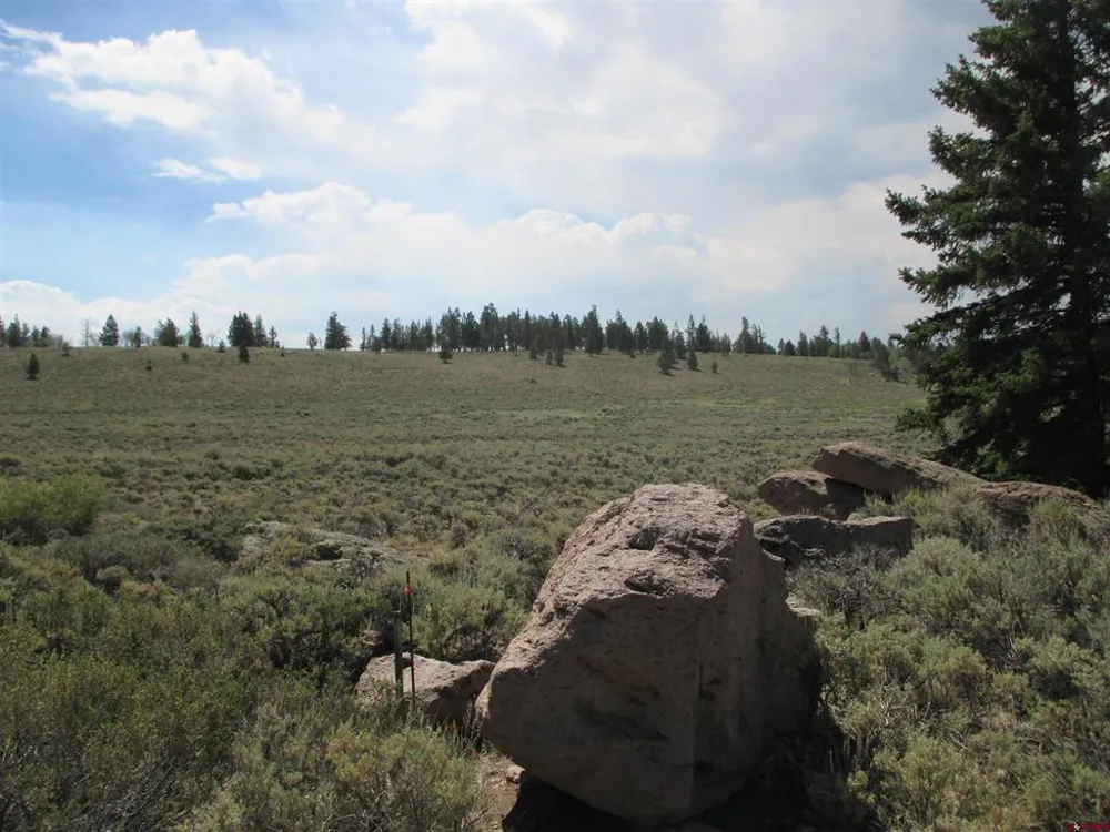 177 Blue Mesa Drive Powderhorn, CO 81224