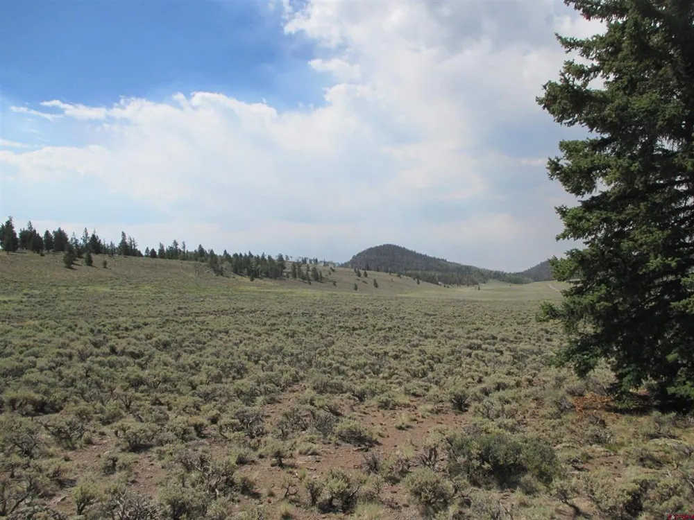 177 Blue Mesa Drive Powderhorn, CO 81224
