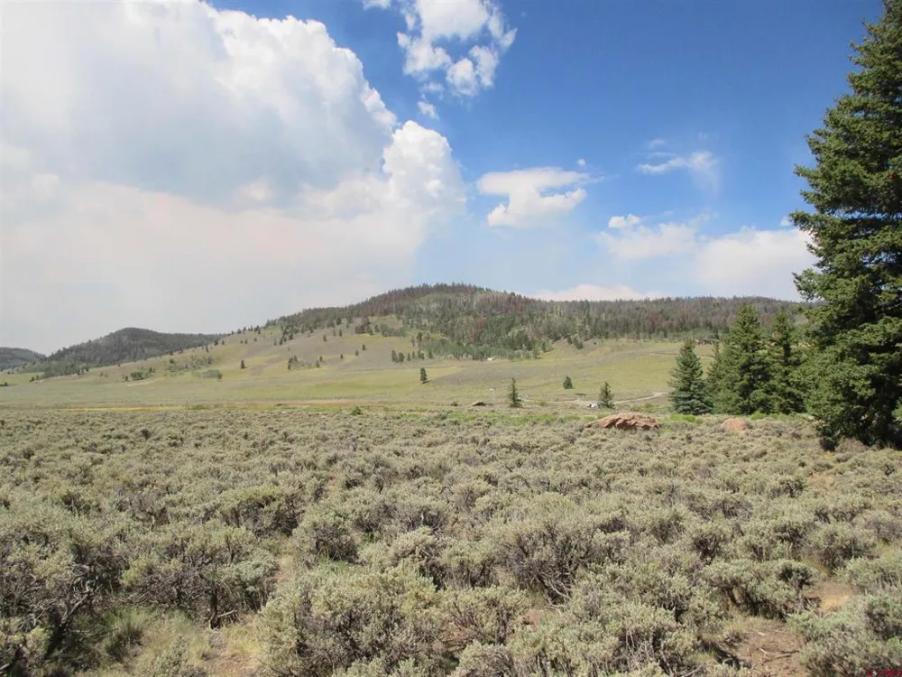 177 Blue Mesa Drive Powderhorn, CO 81224