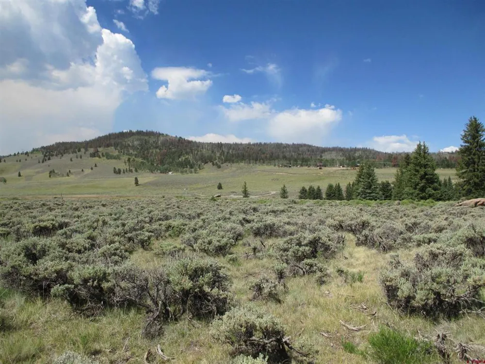 177 Blue Mesa Drive Powderhorn, CO 81224