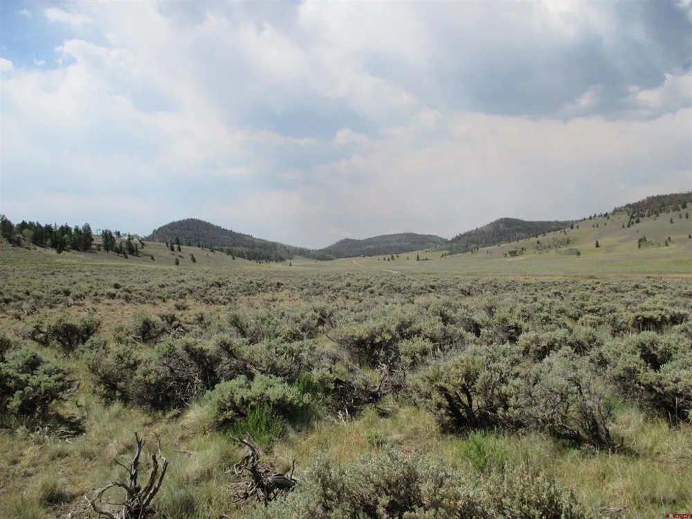 177 Blue Mesa Drive Powderhorn, CO 81224
