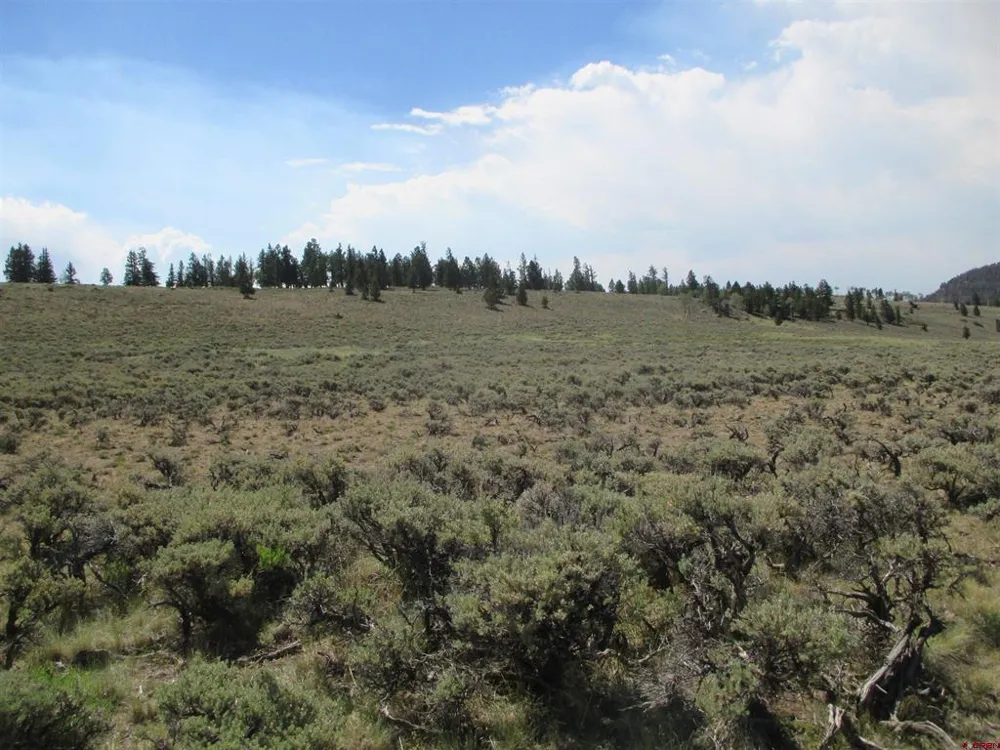 177 Blue Mesa Drive Powderhorn, CO 81224