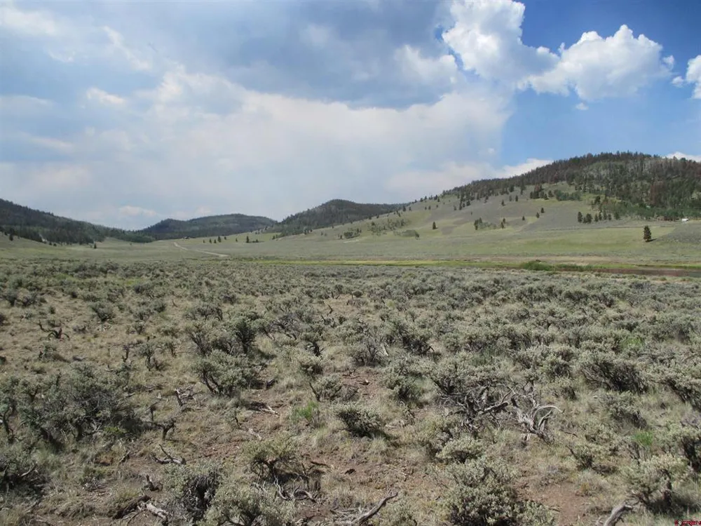 177 Blue Mesa Drive Powderhorn, CO 81224