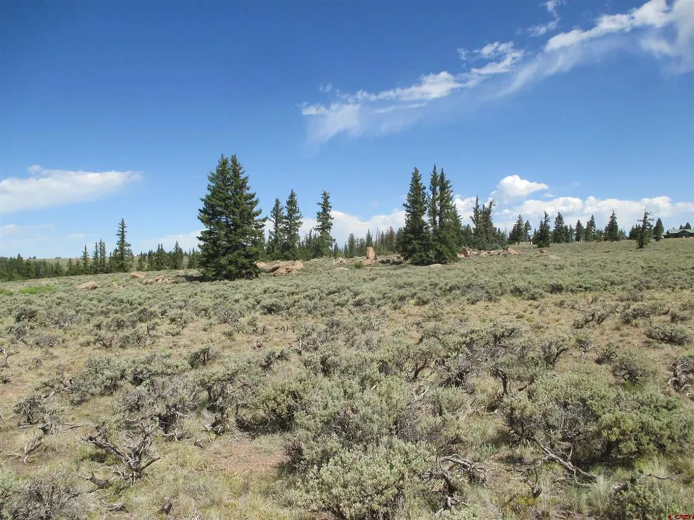 177 Blue Mesa Drive Powderhorn, CO 81224