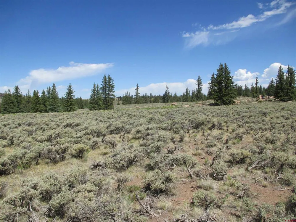 177 Blue Mesa Drive Powderhorn, CO 81224