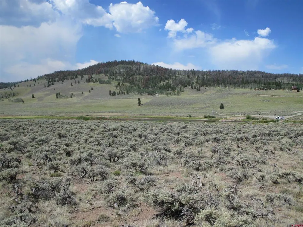 177 Blue Mesa Drive Powderhorn, CO 81224
