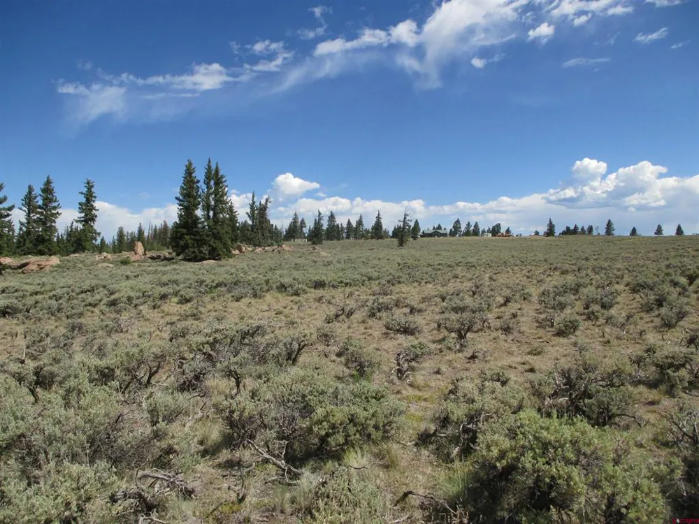 177 Blue Mesa Drive Powderhorn, CO 81224