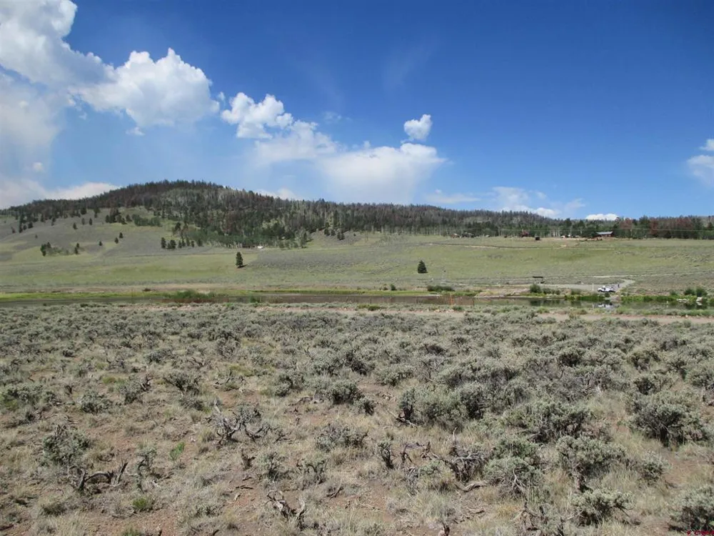 177 Blue Mesa Drive Powderhorn, CO 81224