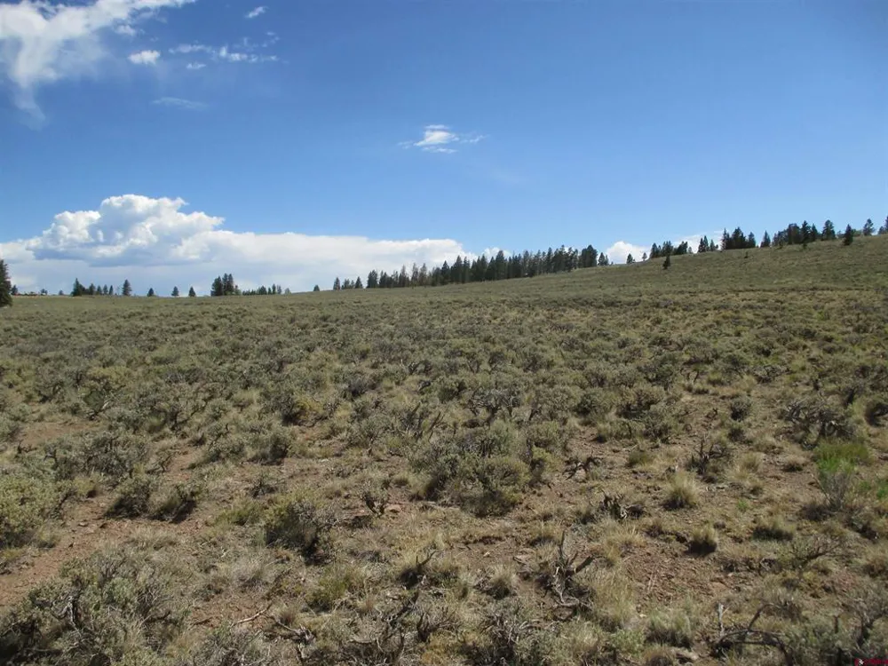 177 Blue Mesa Drive Powderhorn, CO 81224
