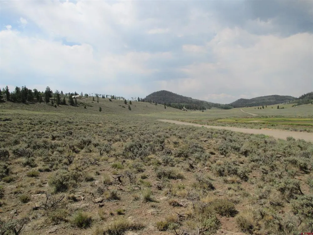 177 Blue Mesa Drive Powderhorn, CO 81224