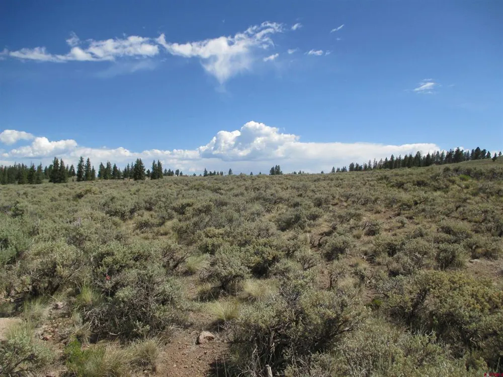 177 Blue Mesa Drive Powderhorn, CO 81224