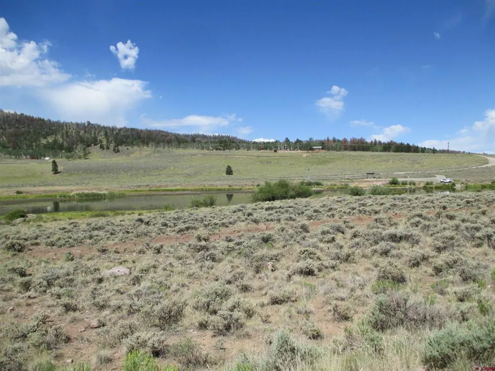177 Blue Mesa Drive Powderhorn, CO 81224