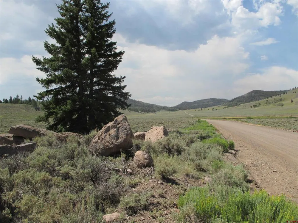 177 Blue Mesa Drive Powderhorn, CO 81224