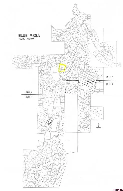 177 Blue Mesa Drive Powderhorn, CO 81224